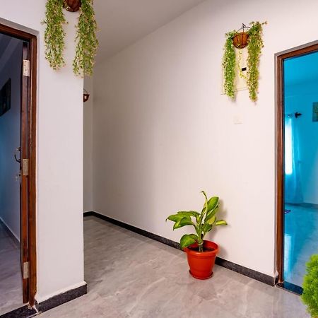 Studio Appartment 1Rk With Kitchen Wifi By Goanfiesta Calangute Exterior photo